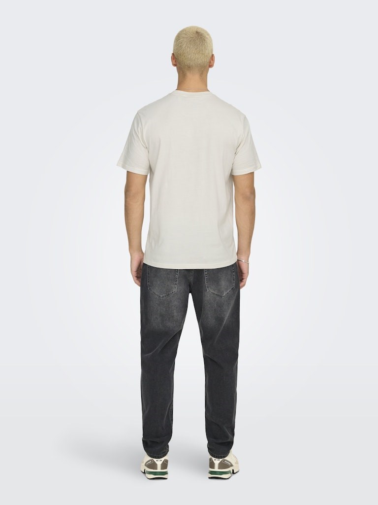 Only & Sons Erkek T-Shirt 22033190 Cloud Dancer