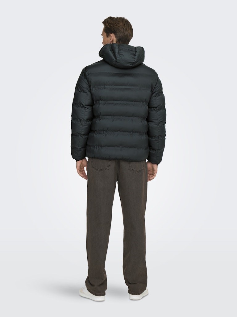 Only & Sons Erkek Ceket 22034836 Black