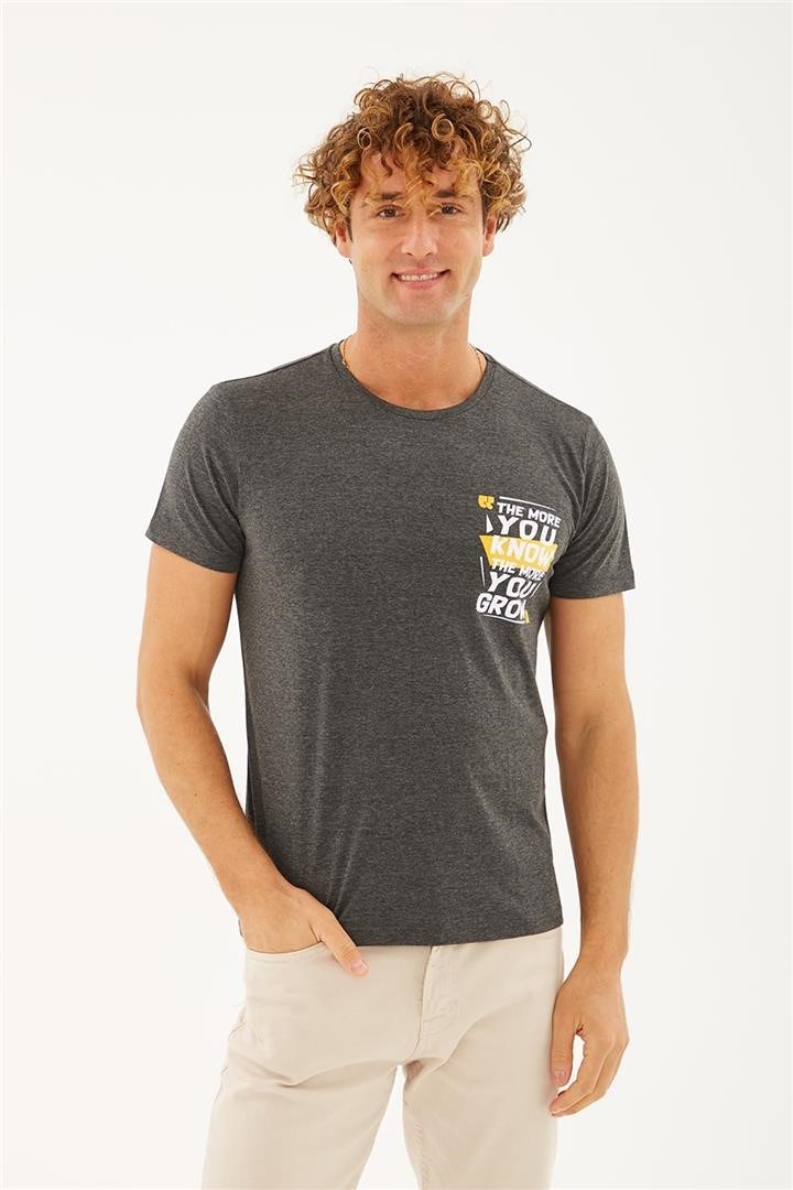 Fashion Friends Erkek T-Shirt 23Y-TST0694E1 Antra Melanj