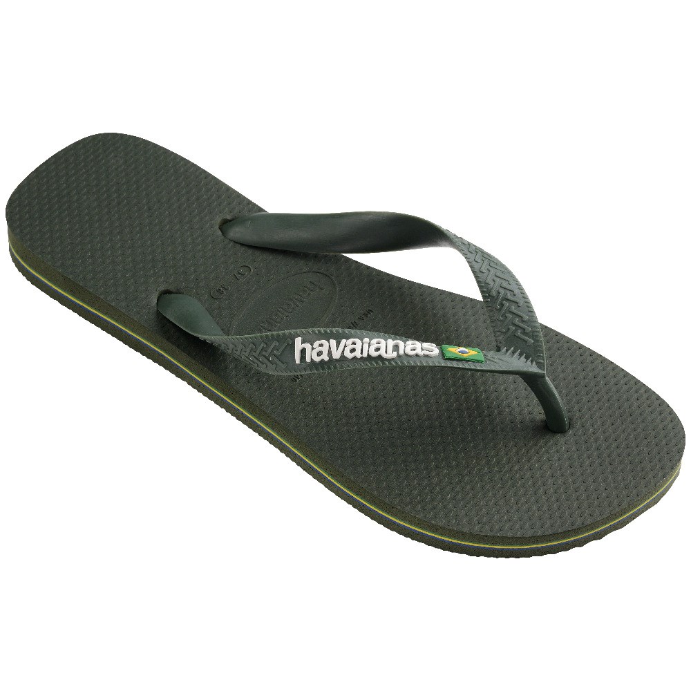Havaianas Erkek Terlik 4110850 