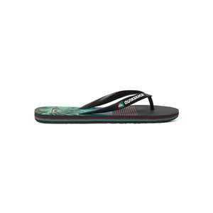 Quiksilver Erkek Terlik AQYL100214 Xkrg