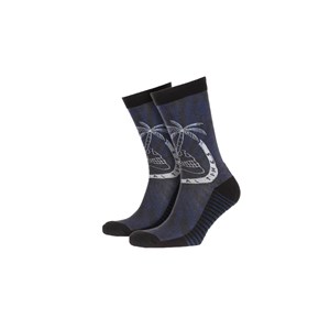 Quiksilver Erkek Çorap EQYAA03485 Black