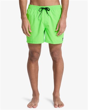 Quiksilver Erkek Deniz Şortu EQYJV04120