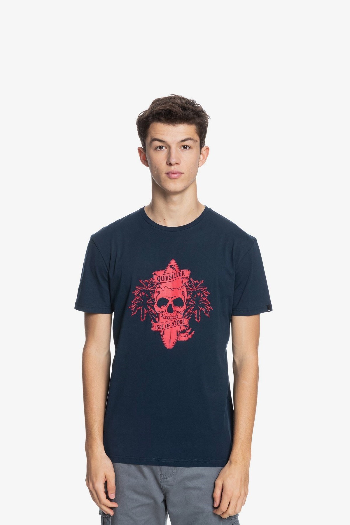 Quiksilver Erkek T-Shirt EQYZT06325 Navy Blazer