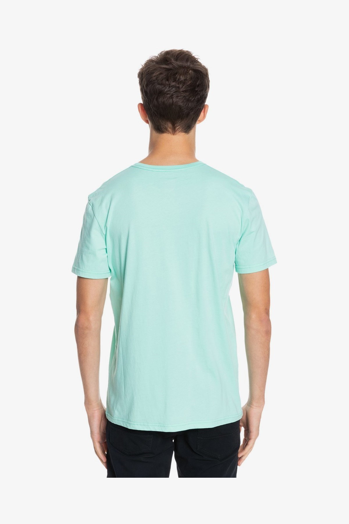 Quiksilver Erkek T-Shirt EQYZT06326 Cabbage