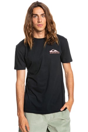 Quiksilver Erkek T-Shirt EQYZT06666 Black