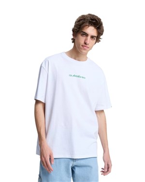 Quiksilver Erkek T-Shirt EQYZT08299