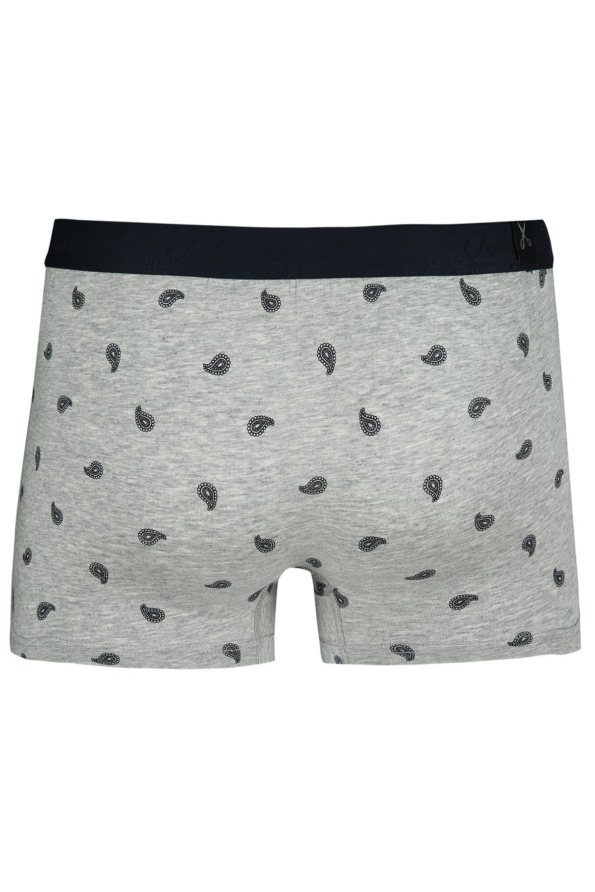 John Frank Erkek Boxer JFBUC111 Gri