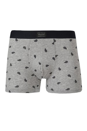 John Frank Erkek Boxer JFBUC111 Gri
