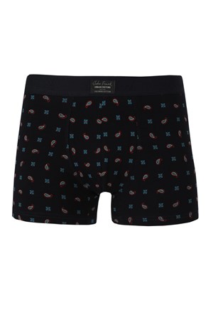 John Frank Erkek Boxer JFBUC137-SMART Lacivert