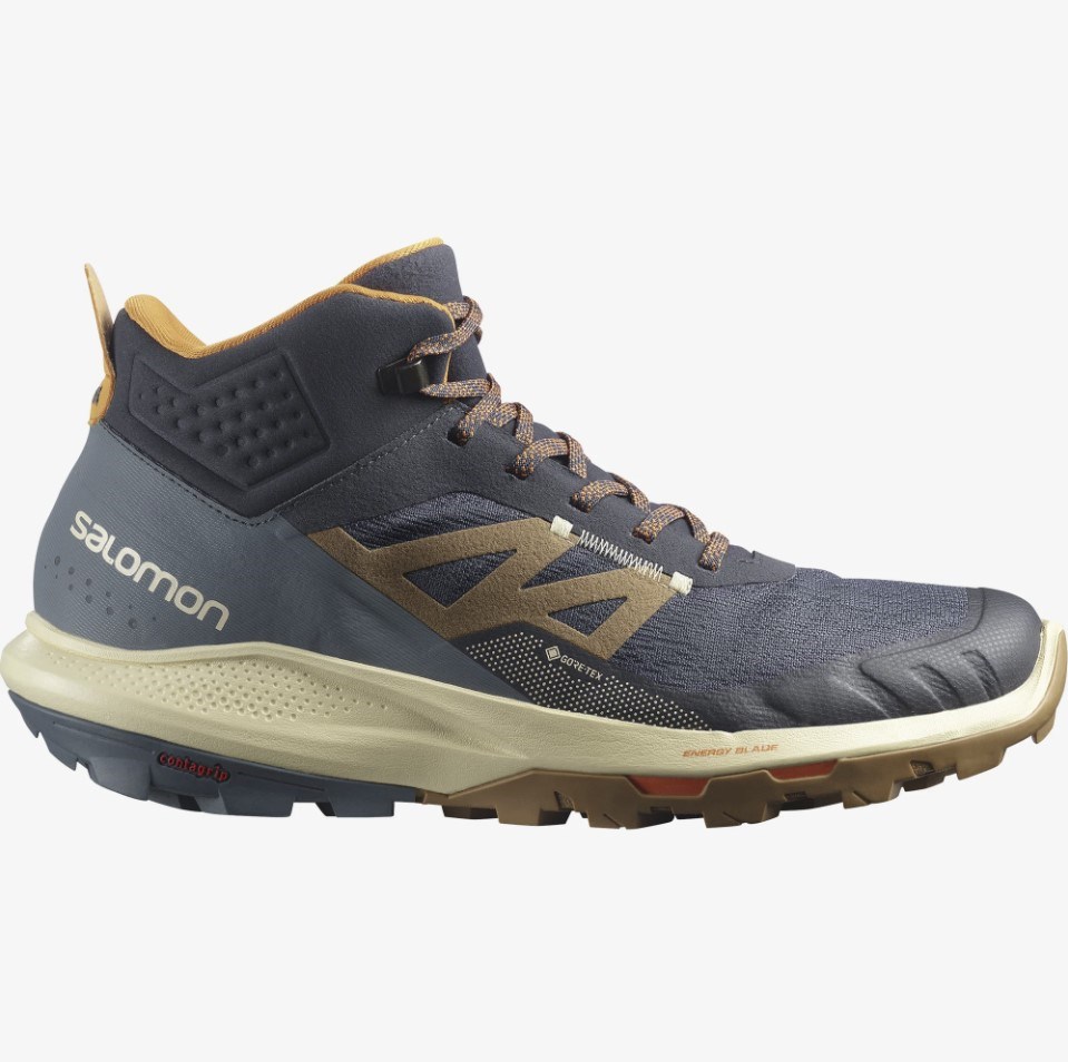 Salomon Erkek Bot L41589500 Ebony/Bleached Sand/Vibrant Orange