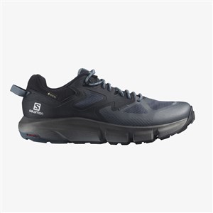 Salomon Erkek Ayakkabı L41599400 Ebony/Black/Stormy Weather