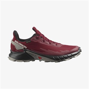 Salomon Erkek Ayakkabı L41722800 Bıkıng Red/Black/Frost Gray