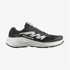 Salomon Erkek Ayakkabı L47801000 Black/Phantom/Icicle