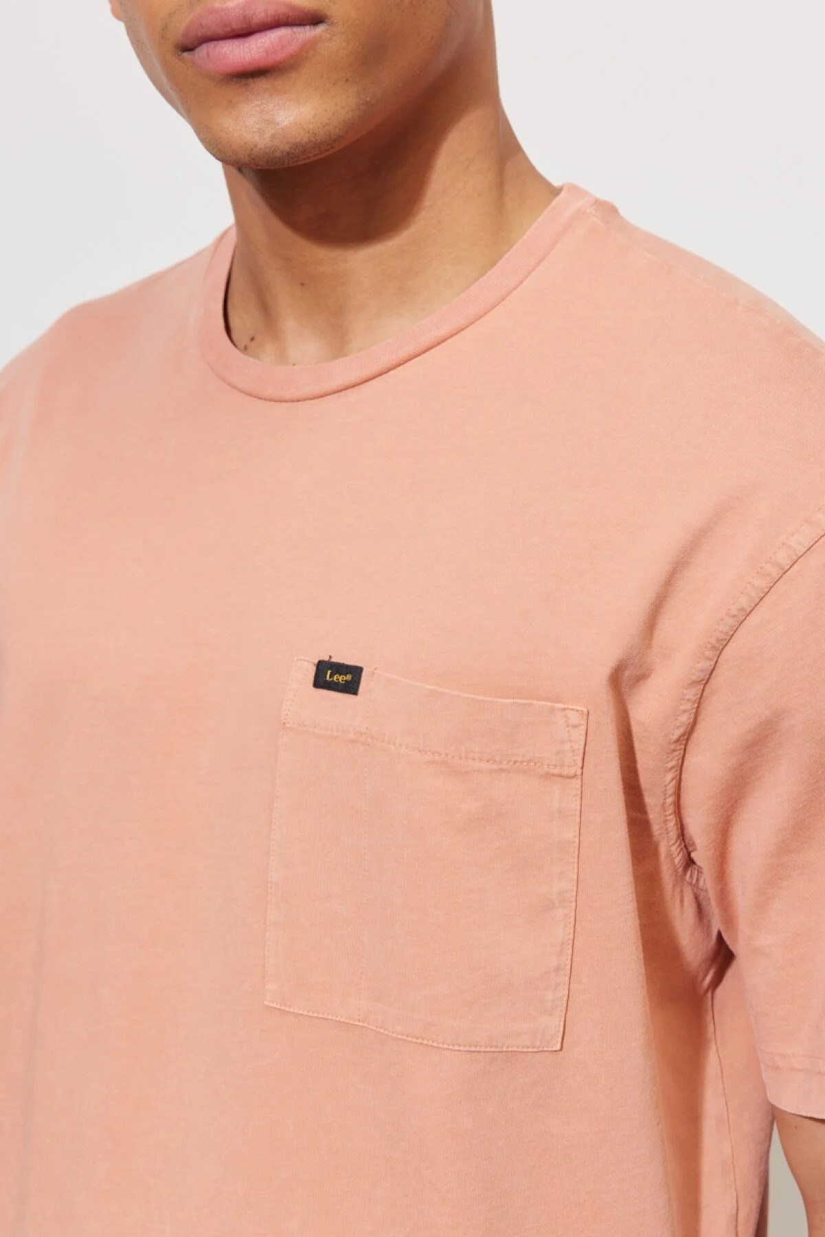 Lee Erkek T-Shirt LL02FPUK Rust