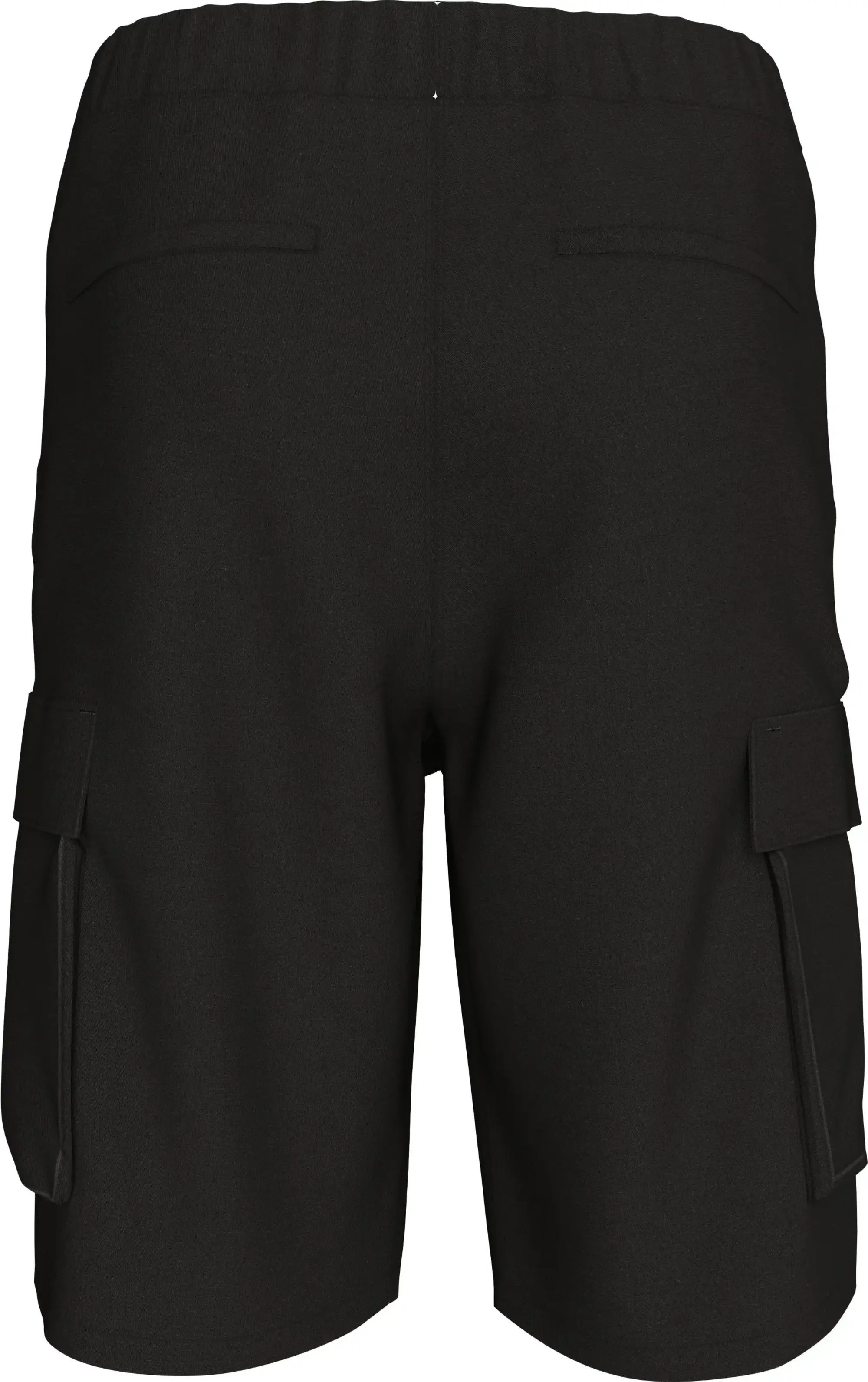 Calvin Klein Erkek Şort LV04RB618GUB1 Black